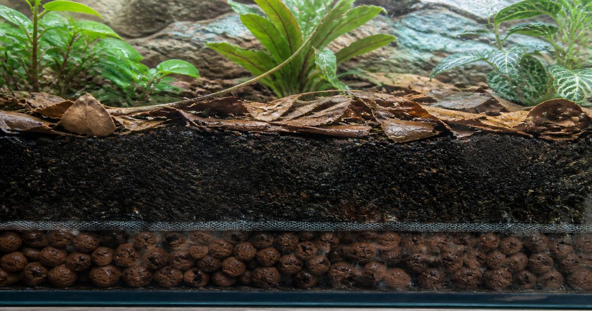 Cross-section of a bioactive terrarium showing drainage layer, mesh, coco coir substrate mix and leaf litter