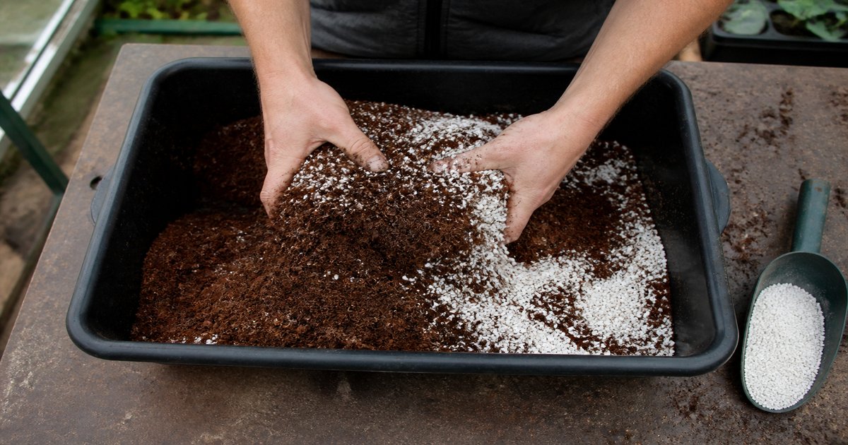 Hands mixing brown coco coir with white perlite granules in a black trug on a potting bench