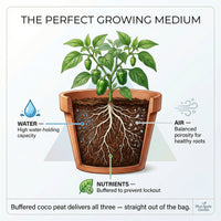 Buffered coco peat growing medium for seeds, seedlings and raised beds