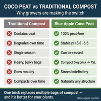Blue Apple Garden coco peat — calcium buffered, low EC, peat-free UK growing medium