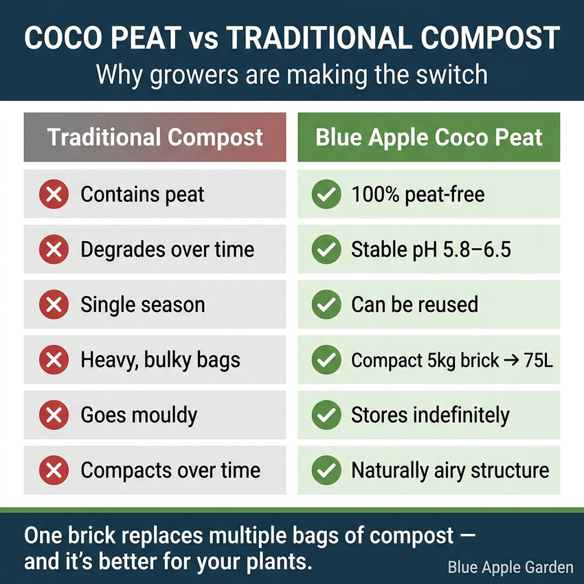 Blue Apple Garden coco peat — calcium buffered, low EC, peat-free UK growing medium