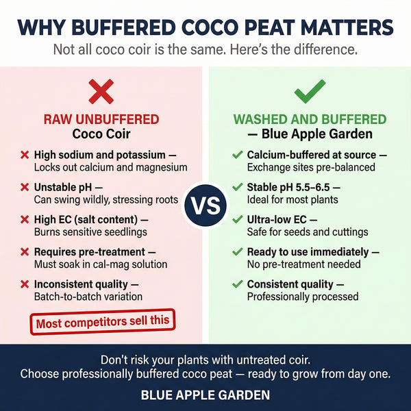 Coco peat 5kg brick expanding in water — expands to 75L of growing medium