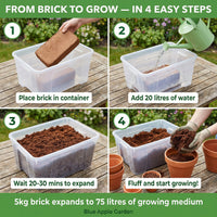 Coco peat for raised beds and vegetable growing — peat-free and sustainable